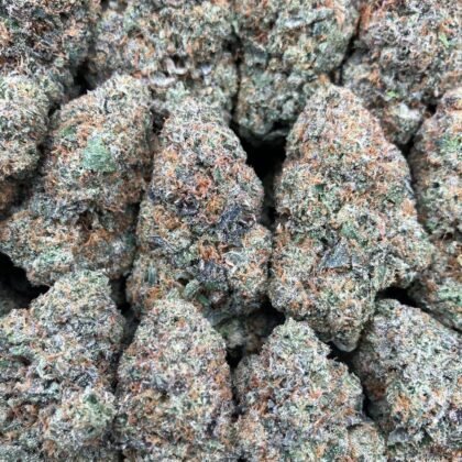 White Fire Gwala
$1000 Intown || $1050 Shipped
Breakdown
$575 HP
$350 QP