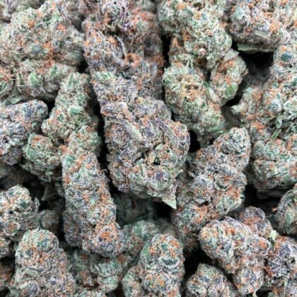 Fuego Runtz
$900 Intown || $950 Shipped
Breakdown
$525 HP
$325 QP