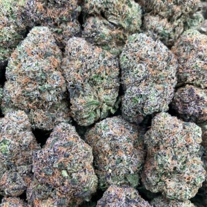 Dragonfruit Gelato
$1050 Intown || $1100 Shipped
Breakdown
$600 HP
$350 QP
$115 Zip