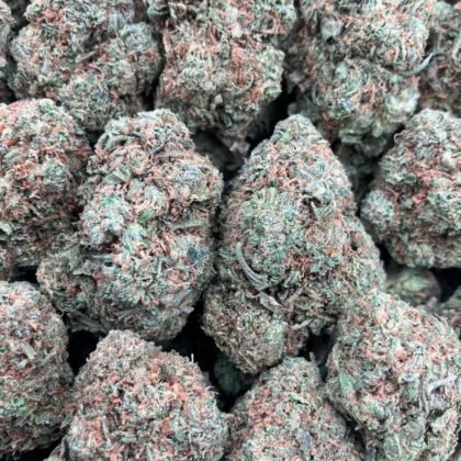 Limoncello
$550 Intown || $600 Shipped
Breakdown
$350 HP
$225 QP