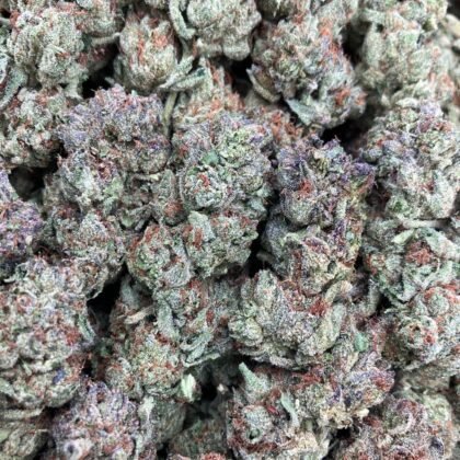 Creme Brulé
$650 Intown || $700 Shipped
Breakdown
$400 HP
$250 QP