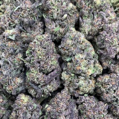 Grape Soda
$750 Intown || $800 Shipped
Breakdown
$450 HP
$275 QP