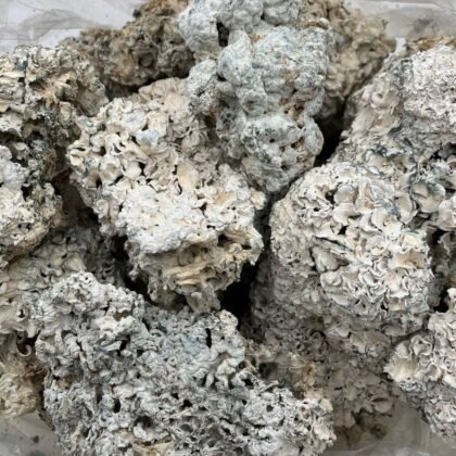 Enigmas
$650 Intown || $700 Shipped
Breakdown
$400 HP
$250 QP
$90 Zip