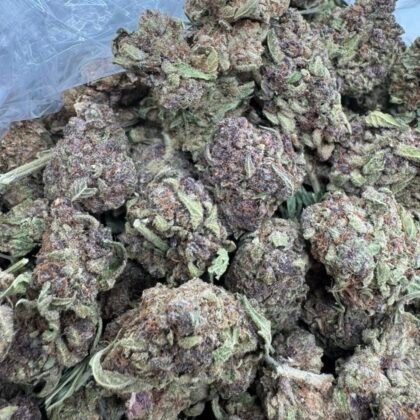 Tropic 41
$400 Intown || $450 Shipped