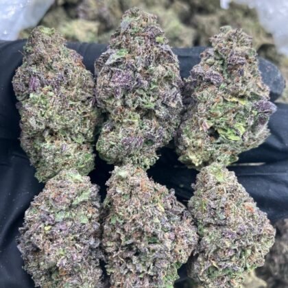 Grape Sunkist Gelato