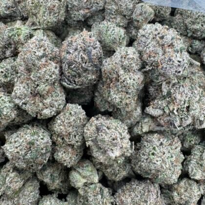 juicy fruity candy
-Shipping
$900
-Intown LA
$850