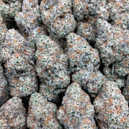 Vanilla Cream Faygo
$1000 Intown || $1050 Shipped
Breakdown
$575 HP
$325 QP