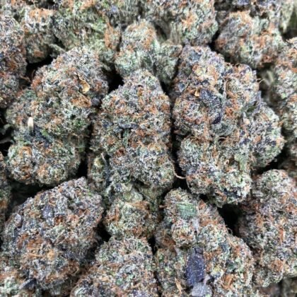 Gelato Kashmir
$1075 Intown || $1125 Shipped
Breakdown
$600 HP
$350 QP