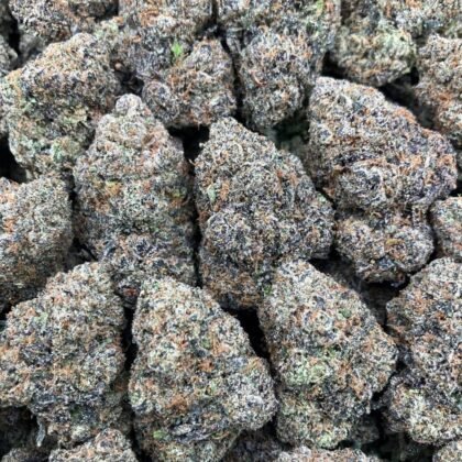 Blue Warheads
$1125 Intown || $1175 Shipped
Breakdown
$625 HP
$350 QP
$100 Zip