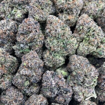 Purple Gumbo
$1100 Intown || $1150 Shipped
Breakdown
$625 HP
$375 QP