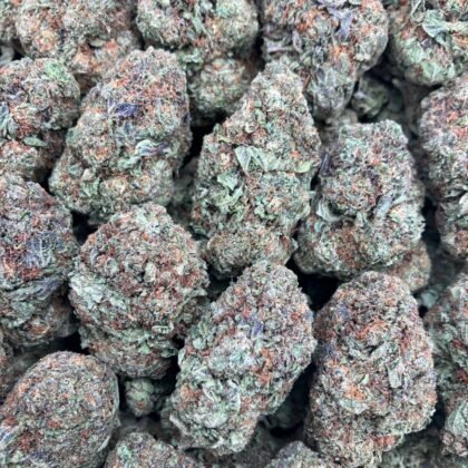 Purple Gumbo
$1100 Intown || $1150 Shipped
Breakdown
$625 HP
$375 QP