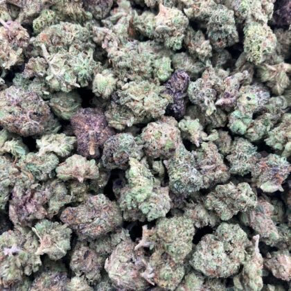Bacio Mints
$675 Intown || $725 Shipped
Breakdown
$400 HP
$250 QP