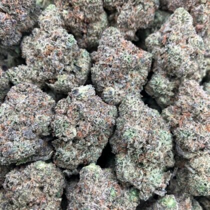 Smackerz
$1000 Intown || $1050 Shipped
Breakdown
$575 HP
$325 QP