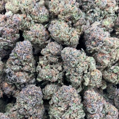 ⚡️Flash Sale⚡️
Blue Sharpiez
$650 Intown || $700 Shipped

Breakdown
$400 HP
$250 QP