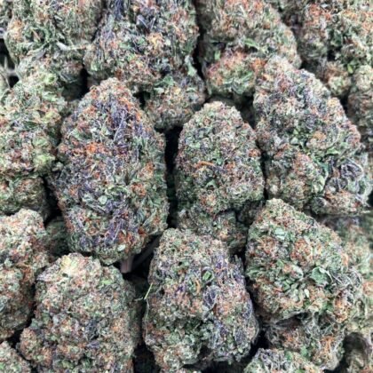 Passion Fruit Sherbet
$650 Intown || $700 Shipped

Breakdown
$400 HP
$250 QP