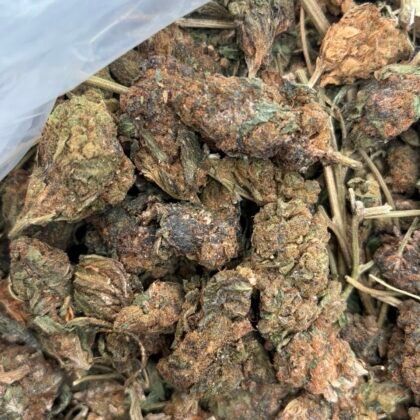 Midnight delight
-Shipping
$185

-Intown LA
$100