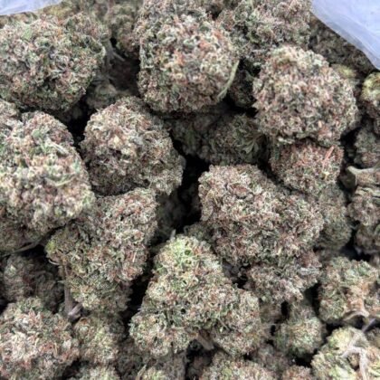 LCG candy

(Strong candy 🍭 nose!! Dont miss out on this flavor)

-Shipping
$500

-Intown LA
$450