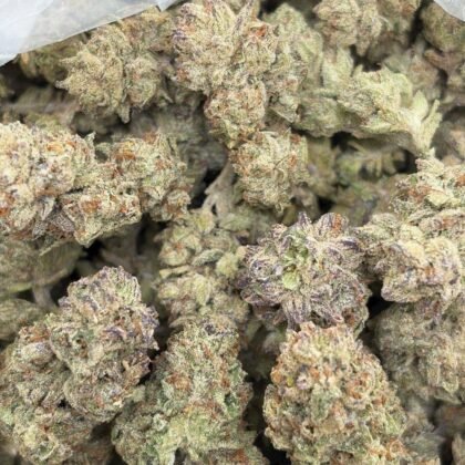 Gelato king

-Shipping
$475

-Intown LA
$425